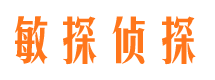 禅城市调查公司